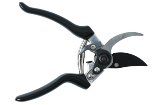 Häcksax, grensax och sekatör