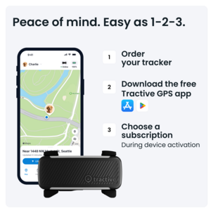 Tractive Dog 6 GPS-tracker for hund