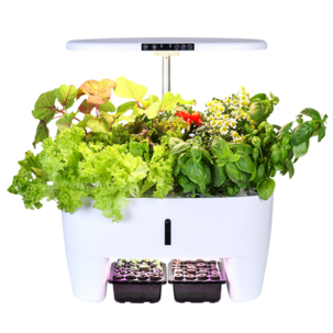 Sett for hydroponisk dyrking med 16 plugger, innendørs