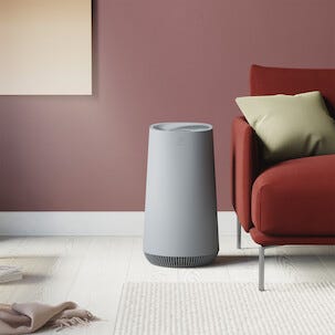 Ilmanpuhdistin Electrolux FA31-201GY, 40 m2