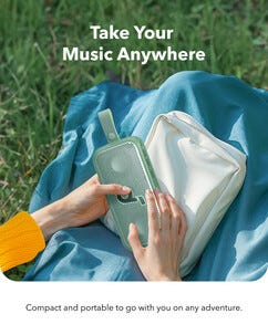 Soundcore Motion 300 Bluetooth-høyttaler, svart