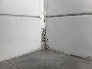 Jape MögelFri Direkt rengöringsmedel, 0,5 liter