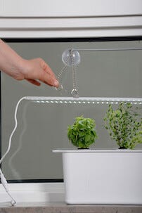 Hydroponiskt odlingskit Harvy 3, 3 delar