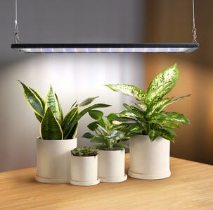 Plantelys LED-lysrør, hengende og stående, timer