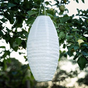 Northlight solcellelykt rislampe oval, hvit