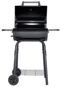 Hiiligrilli