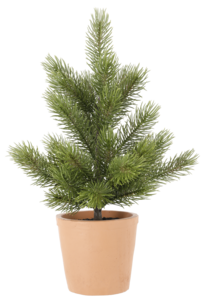 Bordsgran med lerkruka