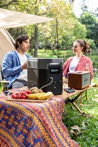 EcoFlow Delta Max 1600 power station, bærbar