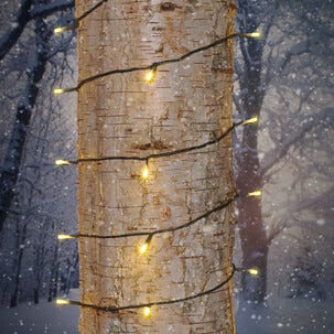 LED ljusslinga med svart kabel utomhus / inomhus, Northlight