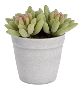 Kunstig sukkulent, 13 cm
