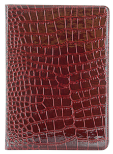 Fodral för iPad Air, Holdit