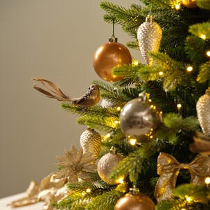 Julgranskula kotte, 6-pack