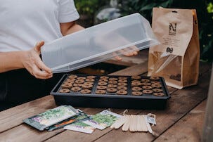 Nelson Garden pluggbrett med lokk 38 x 24 cm