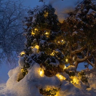 LED Pro Valoverkko jatkettava, 5 vuoden takuu, ulkokäyttöön, Northlight