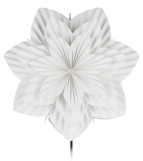 Northlight adventsstjerne brettet blomst, hvit