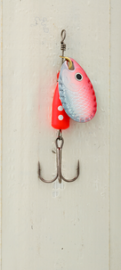 Betessats 10-pack Gavia