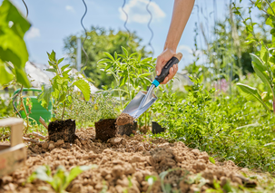 Plantespade Gardena EcoLine