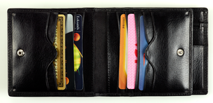 Plånbok dollar Asaklitt Italian