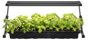 Plantelys LED-lysrør, hengende og stående, timer