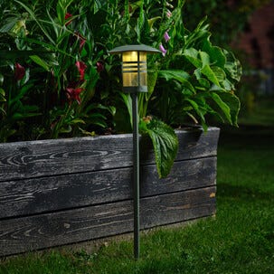 Northlight Aurinkokennovalaisin maapiikillä 80 cm vihreä