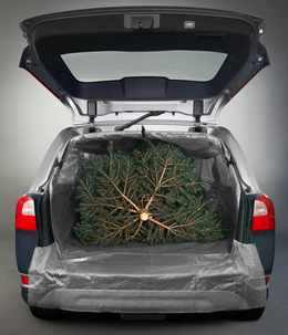 Bagageskydd och lastsäck Zacky 