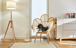 Wiser Exxact Zigbee 2-vägsuttag 16A, Schneider Electric