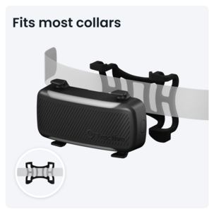 Tractive Dog 6XL GPS-tracker for stor hund