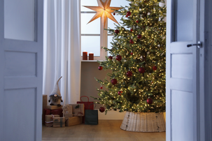 Ylellinen joulukuusi Sunne 220 cm, 8 valaisutilaa ja ajastin