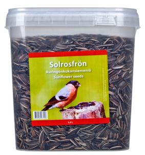 Solrosfrö för fåglar