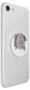 Mobilgrepp, PopSockets Grip