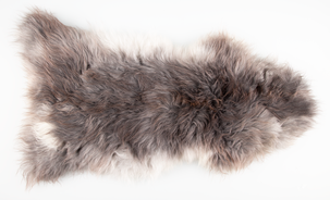 Lampaantalja meleerattu