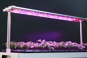 Växtbelysning LED med justerbar ställning och odlingstråg