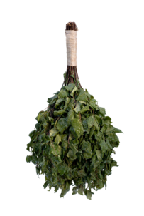 Basturuska av björk