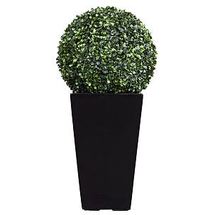 Buxbomboll med LED-belysning