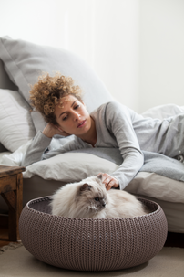 Djurbädd Curver Cozy Pet Bed