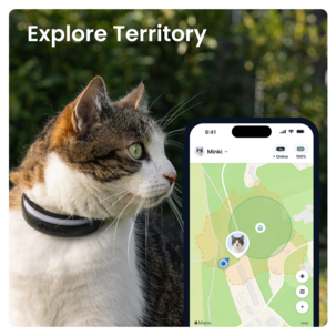 Tractive Cat 6 Mini GPS tracker för katt