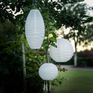 Northlight solcellelykt rislampe oval, hvit