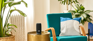 JBL Link Portable Langaton kaiutin 