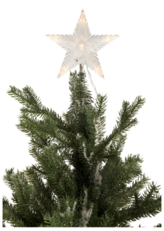 Northlight juletrestjerne med fjernkontroll 