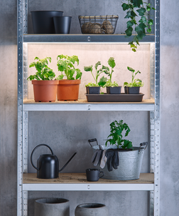 Kasvivalo LED-lista, neutraali valkoinen valo, 3 m, Cotech