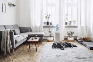 eeese Air Care Emil luftavfuktare, 10 liter, 42 m2