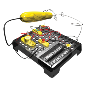 Electro Challenge, Alga Science