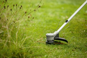 Bosch AdvancedBrushCut 36V-23-750 grästrimmer, batteri