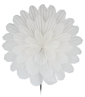 Northlight stor adventsstjärna blomma vit, 80 cm