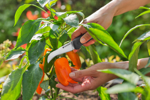 Gardena VeggieCut skördekniv