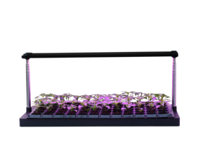 Växtbelysning LED med justerbar ställning och odlingstråg