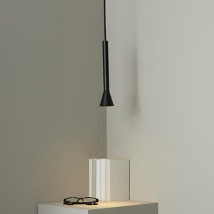 Northlight Vide hengende taklampe med spotlight, svart