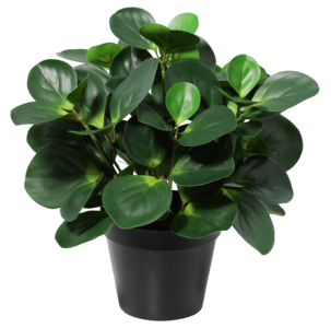 Konstväxt i kruka Fredsgrönska 35 cm