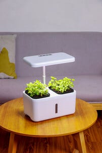 Kasvivalo LED Itsekasteleva ruukku ja ajastin