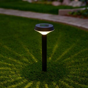 Aurinkokennovalaisin maahan puutarhaan  30 cm, 3 kpl